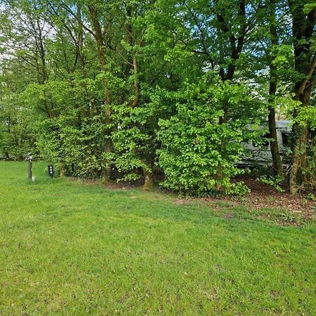 Camping Alkenhaer Appelscha Lege Kampeerplaats Esterno foto