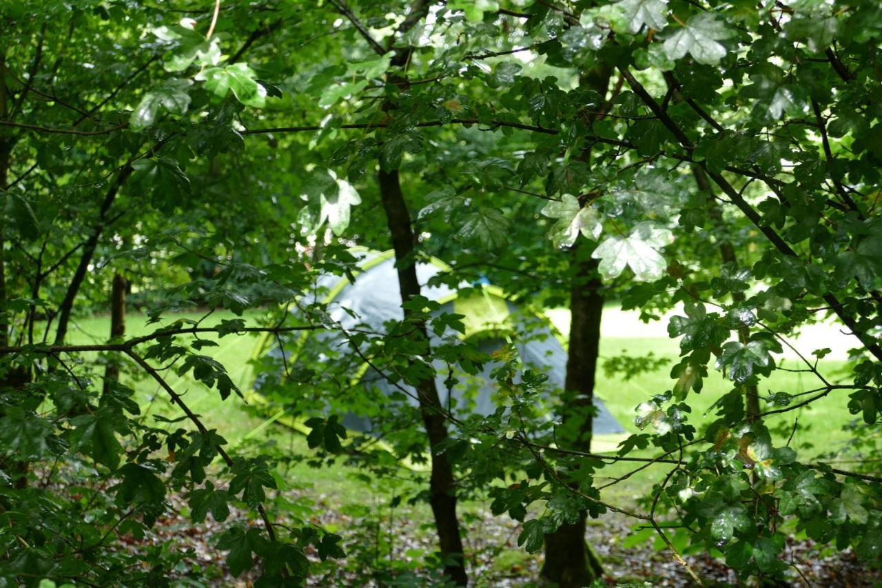 Camping Alkenhaer Appelscha Lege Kampeerplaats Esterno foto