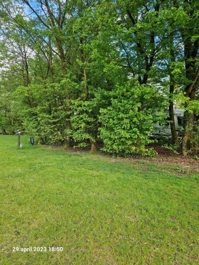 Camping Alkenhaer Appelscha Lege Kampeerplaats Esterno foto