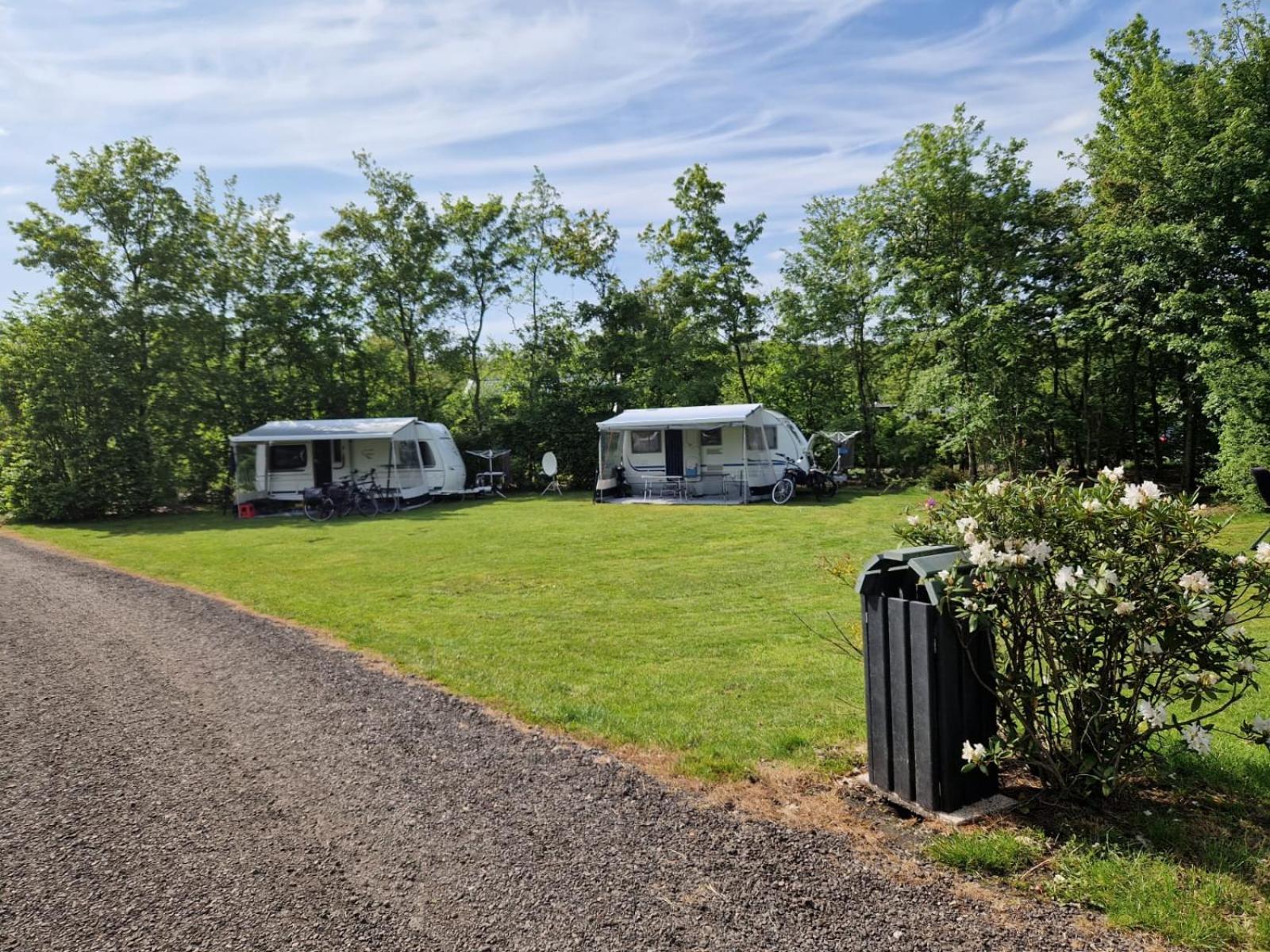 Camping Alkenhaer Appelscha Lege Kampeerplaats Esterno foto
